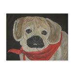 Puggle  Dog Postcard