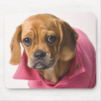 Puggle in Pink! mousepads