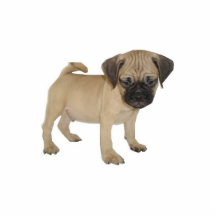 Puggle Magnet Cut Out