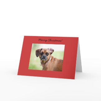 Puggle Merry Christmas Card