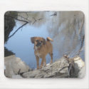 Puggle mousepads by Kathies_Kreations Puggle mousepads