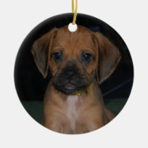 puggle ornament