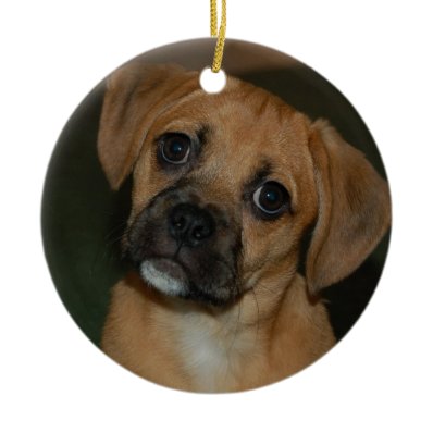 Puggle ornament 2