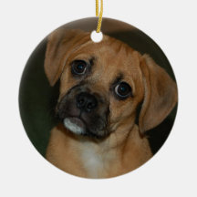Puggle ornament 2