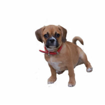 Puggle photo sculptures