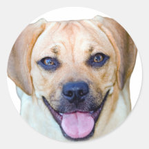 Puggle Power! Round Sticker