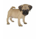 Puggle TShirt