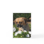 Puggles Greeting Card