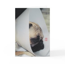 Puggy Get Well Greeting Card