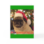 Puggy Greetings: Christmas