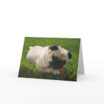 PugLife Note Cards