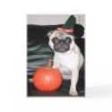 Pugoween cards by ZayNet Pugoween cards