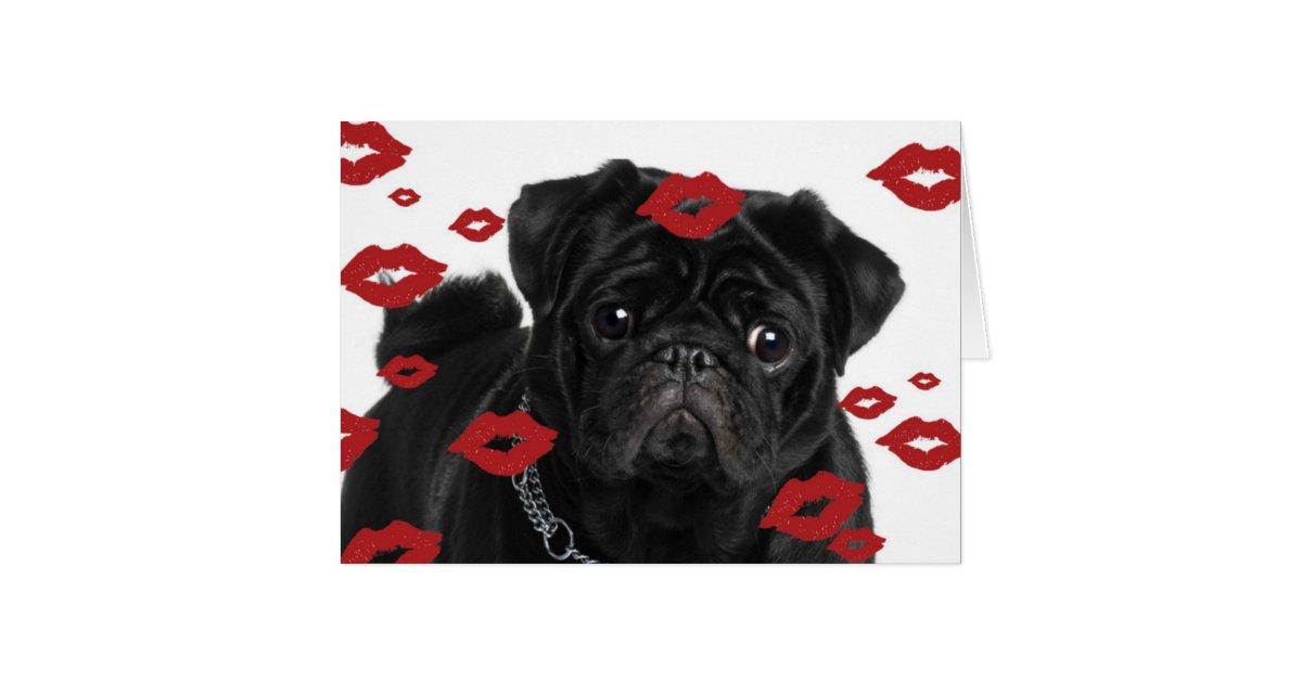 pugs-and-kisses-card-zazzle