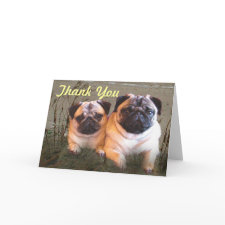Pugs and Kisses Thank You Card card