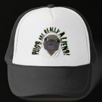 pugs are really aliens hats