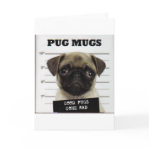 Pugs Card