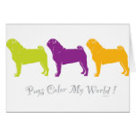 Pugs Color My World Pugs Color My World