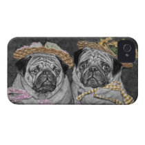 Pugs in Hats