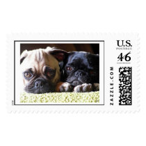 Pugs in Love Postage Stamp by hbrunner11 Pugs in Love Postage Stamp