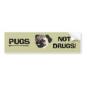 Pugs Not Drugs Bumper Sticker bumper stickers by thehatch Pugs Not Drugs Bumper Sticker bumper stickers