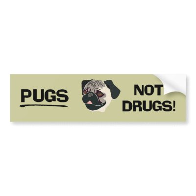 Pugs Not Drugs Bumper Sticker by thehatch