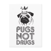 Pugs Not Drugs Postcard