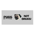 Pugs Not Drugs Poster posters