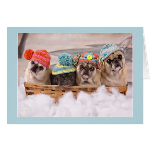 pugs holiday cards