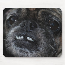 Pugs Pearly White Teeth  Mousepad