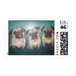 Pugs postage