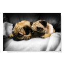 Pugs posters by quangdotca Pugs posters