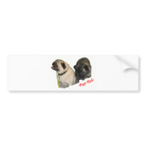 Pugs Rule Bumper Sticker
