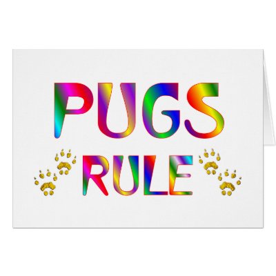 Pugs Rule