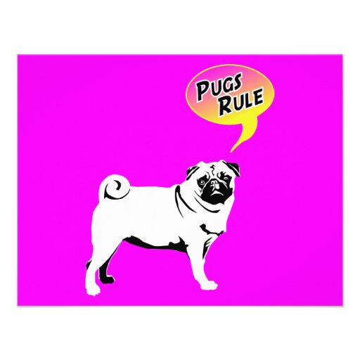 Pugs Rule