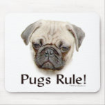 Pugs Rule Mouse Pad