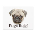 Pugs Rule postcards