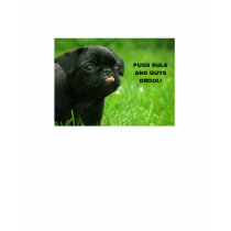 PUGS RULE! t-shirts