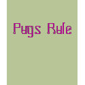 Pugs Rule t-shirts