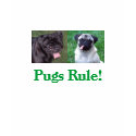 Pugs Rule! t-shirts by tcg711 Pugs Rule! t-shirts