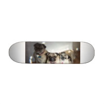 pugs skateboards
