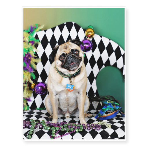 pug temporary tattoos pugsgiving mardi gras 2015 pug temporary tattoos zazzle pug temporary tattoos pugsgiving mardi gras 2015 pug temporary tattoos zazzle