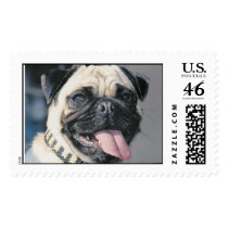 PugStamp