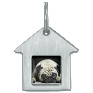PUGSTER PET NAME TAGS