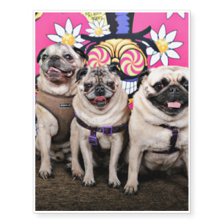 pug temporary tattoos pug temporary tattoos zazzle pug temporary tattoos pug temporary tattoos zazzle