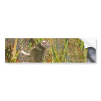 Pukeko and Chick in Reeds Bumper Sticker