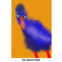 pukeko, New Zealand Pukeko t-shirts by Mandybeau pukeko, New Zealand Pukeko t-shirts