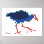 Pukeko Poster/Print