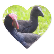 Pukeko Heart Stickers