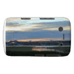 Pulaski at Sunset Blackberry Case-Mate Case