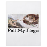 Pull My Finger Custom Flyer